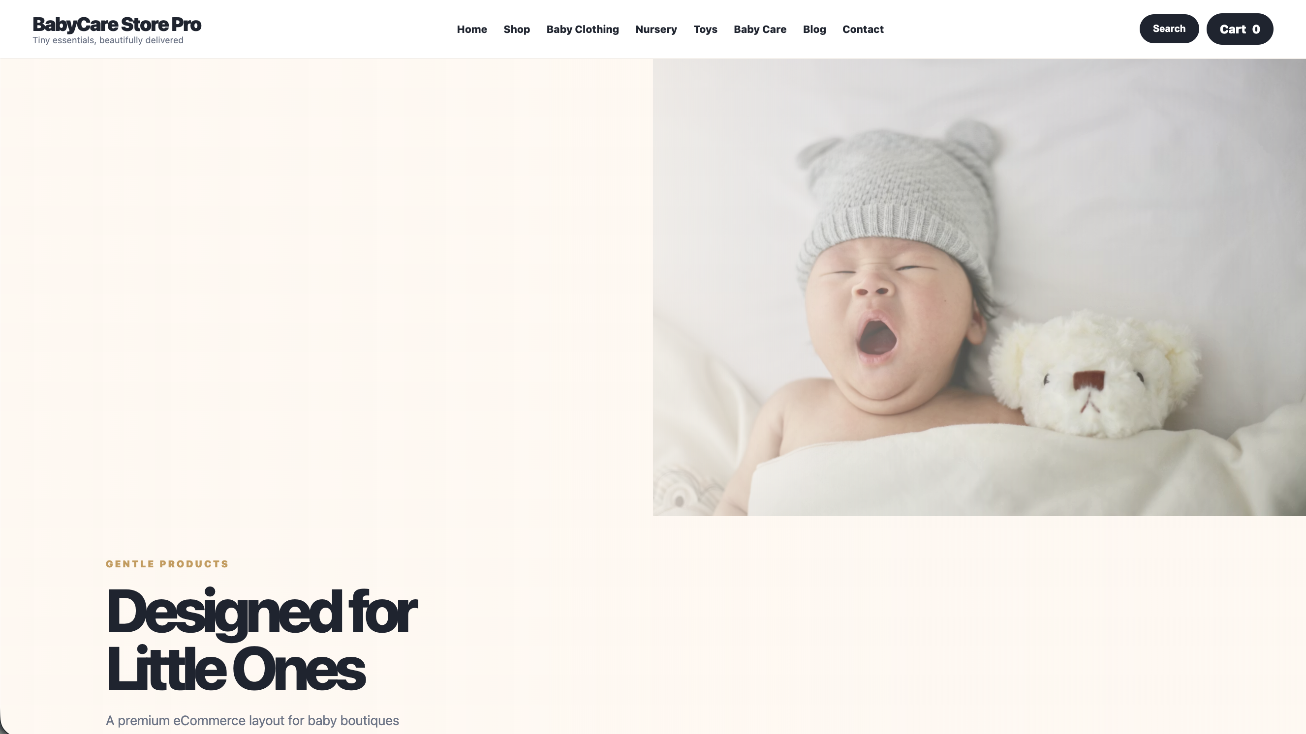 BabyCare Store Pro